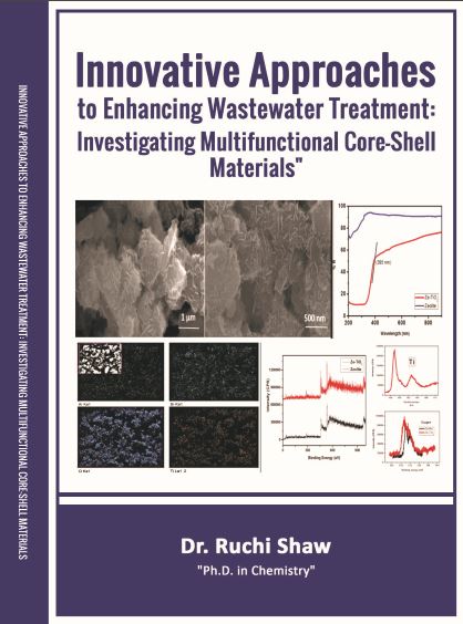 Innovative Approaches to Enhancing Wastewater Treatment: Investigating Multifunctional Core-Shell Materials