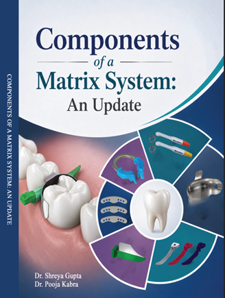 Components of a Matrix System: An Update