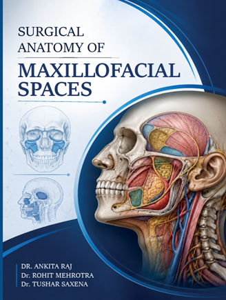 Surgical Anatomy of Maxillofacial Spaces