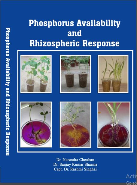 Phosphorus Availability and Rhizospheric Response